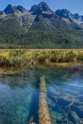 Full Download Underwater Logs in a New Zealand Lake: Blank 150 Page Lined Journal for Your Thoughts, Ideas, and Inspiration -  file in ePub