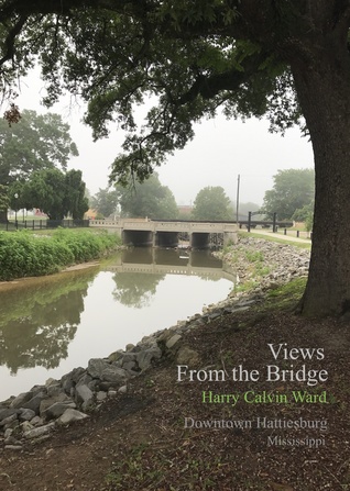 Read Views From the Bridge: Downtown Hattiesburg, Mississippi - Harry Calvin Ward | ePub