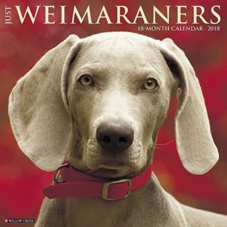 Download Just Weimaraners 2018 Wall Calendar (Dog Breed Calendar) -  | ePub