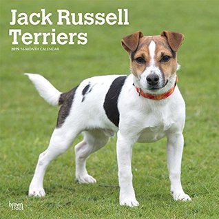 Read Online Jack Russell Terriers International Edition 2019 Square Wall Calendar -  file in ePub